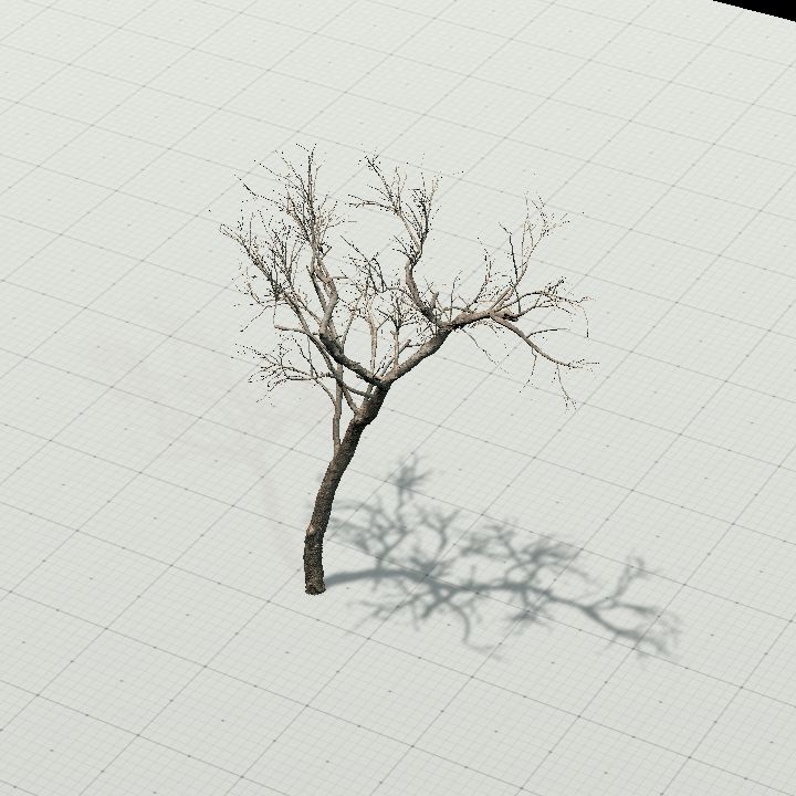 Tree 1 - upright