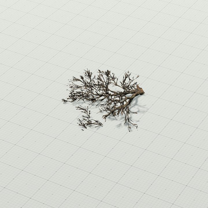 Tree 2 - lying