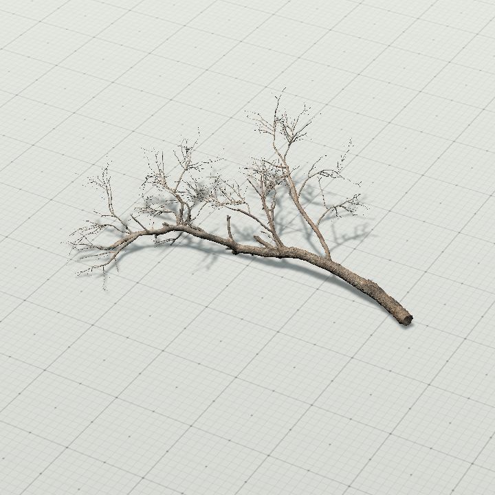 Tree 1 - Lying 2