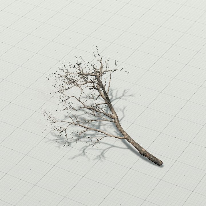 Tree 1 - lying