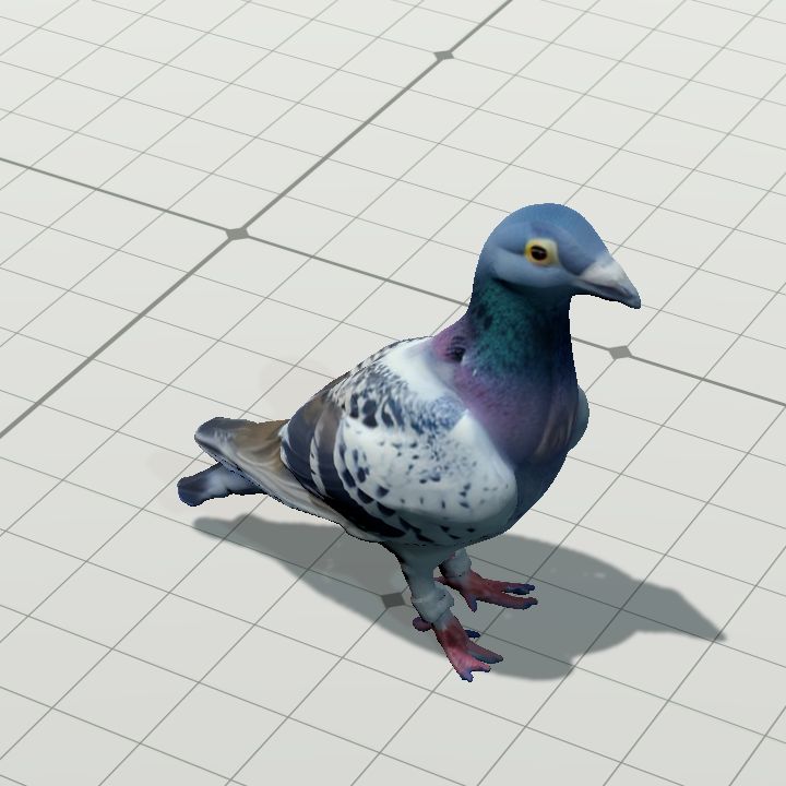 Dobby pigeon