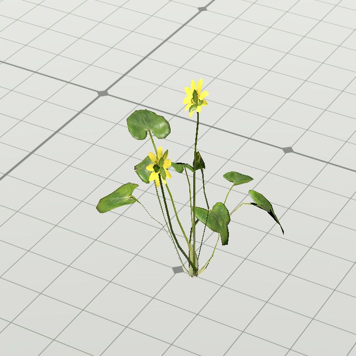 Yellow flower with leaves