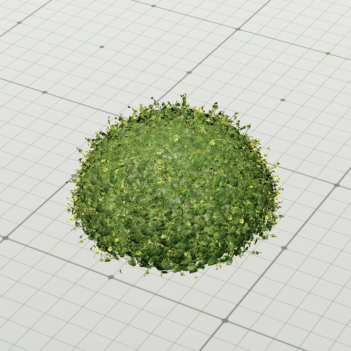 Flowery clump bush