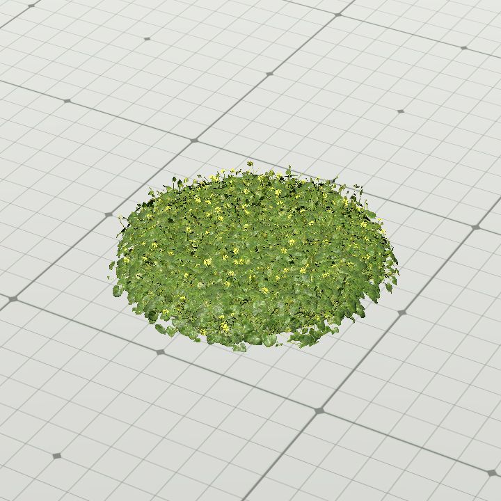 Flowery patch