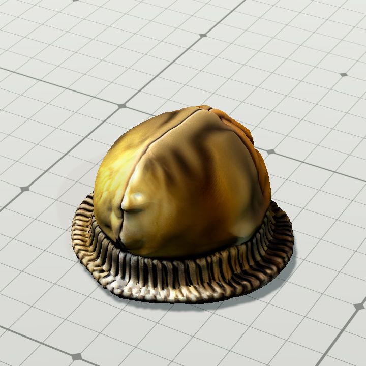 Hat - wool 1