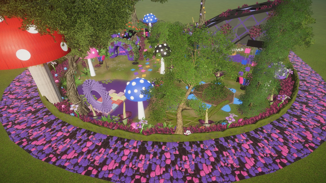 Cassowary Habitat