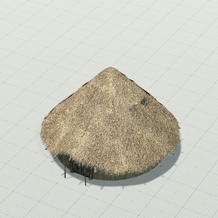 ThatchHut8
