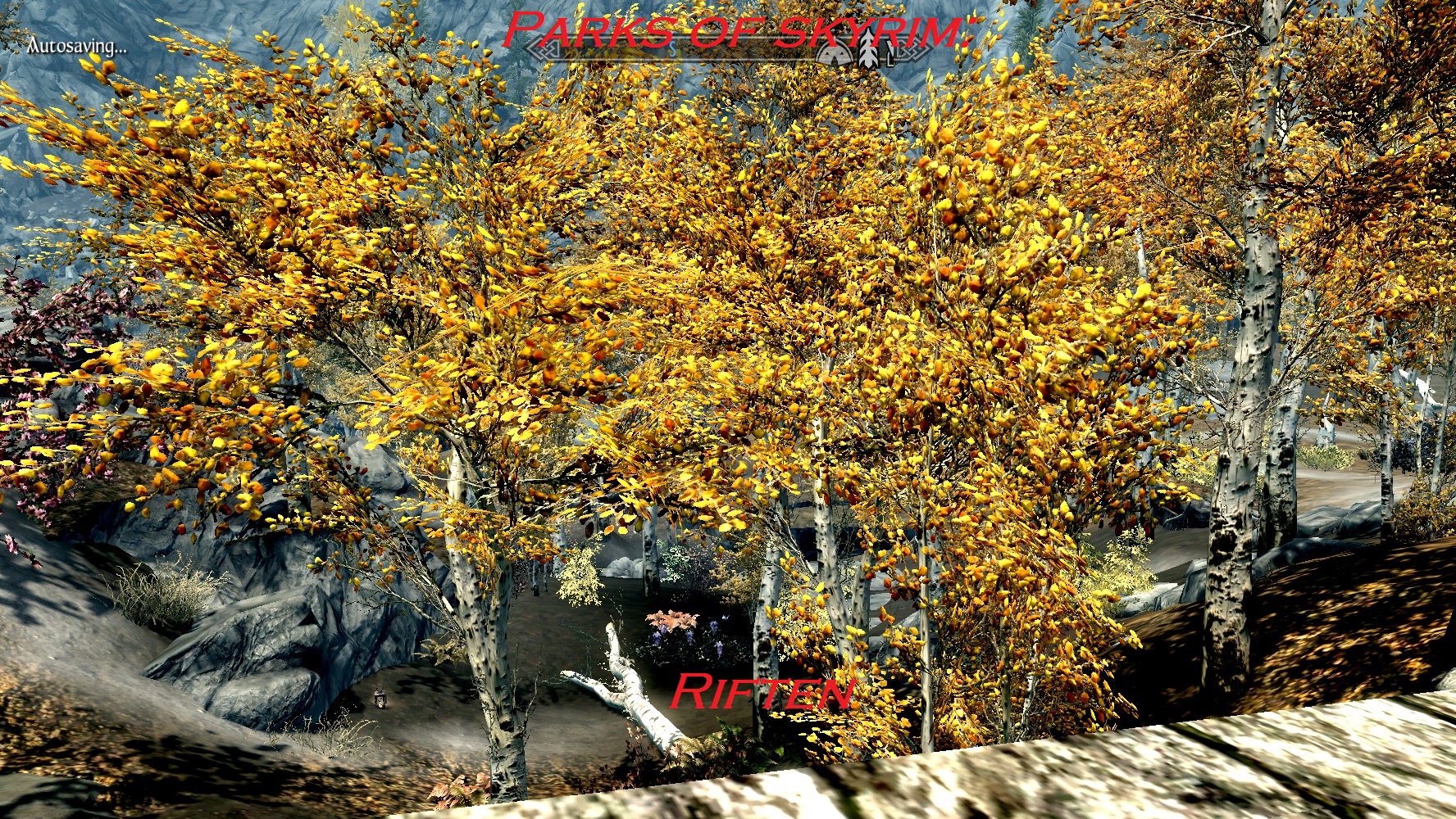 Parks of Skyrim: Riften