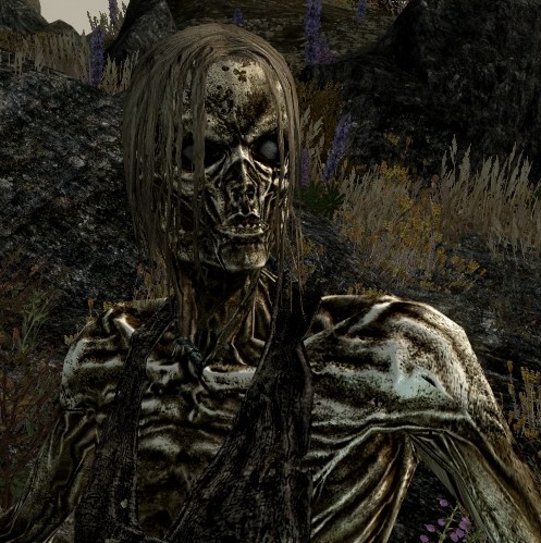 No Glowing Eyes (Draugr only) preview