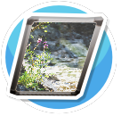 Nature 2