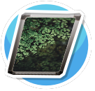 Nature 6