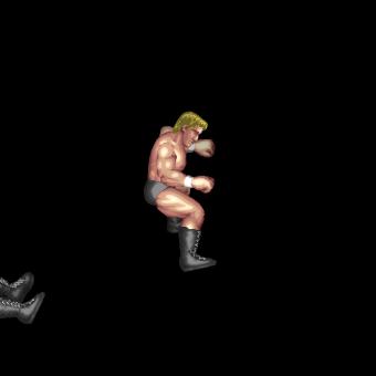 Step-Up Moonsault Press