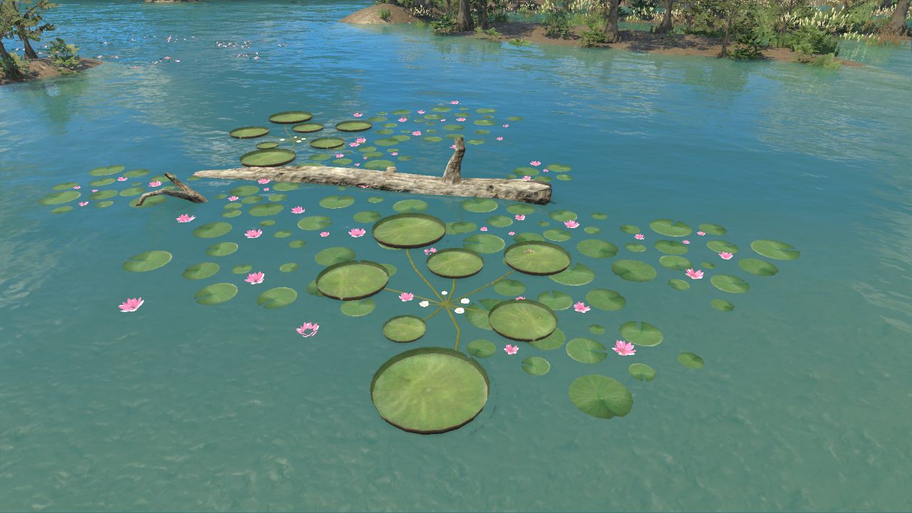 Lilies and Log