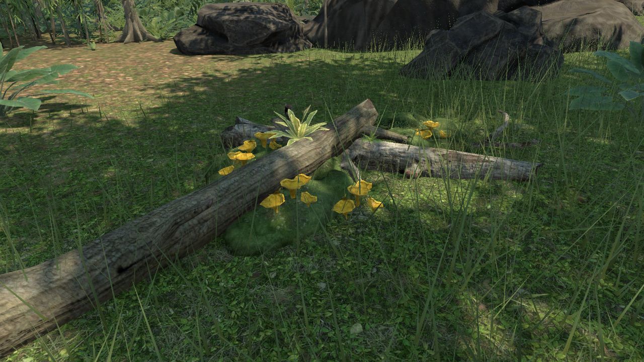 Decaying logs