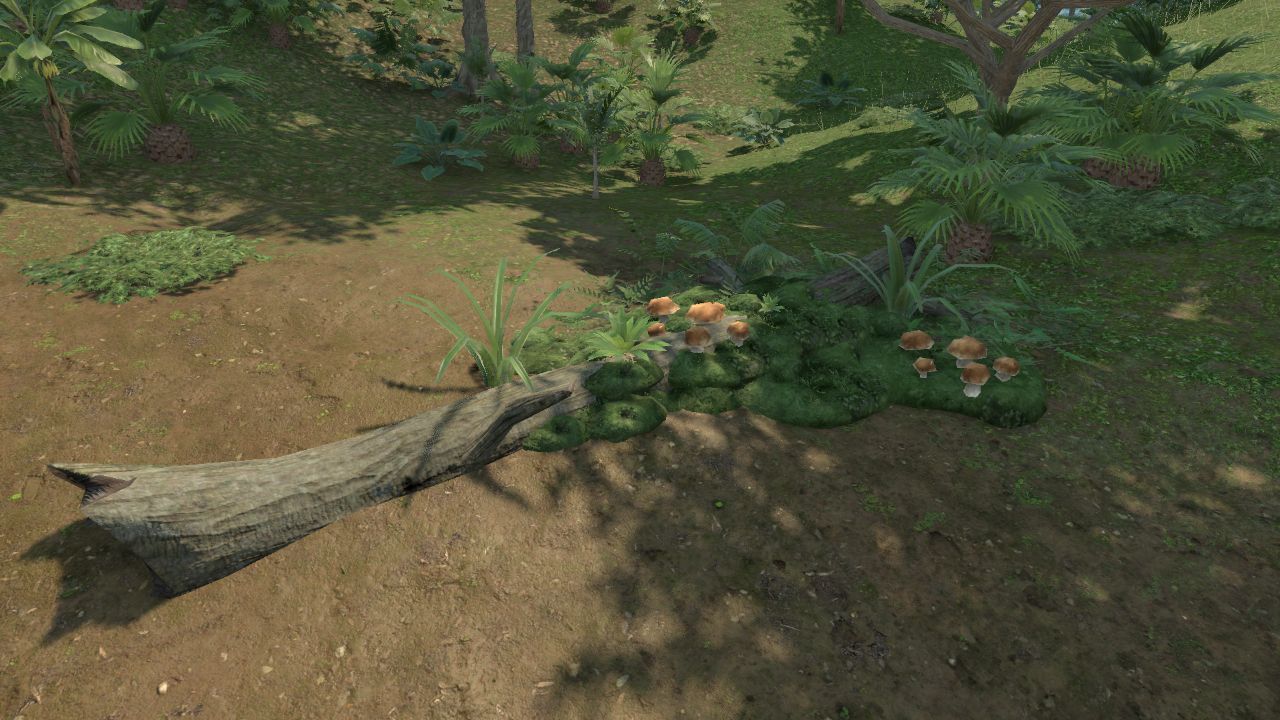 Decaying Log