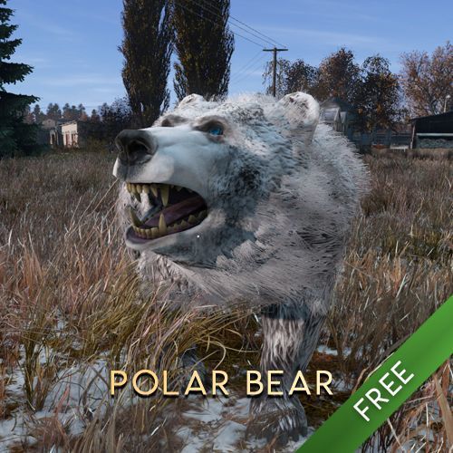 Polar Bear