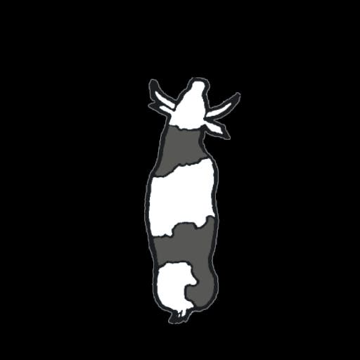 cow color