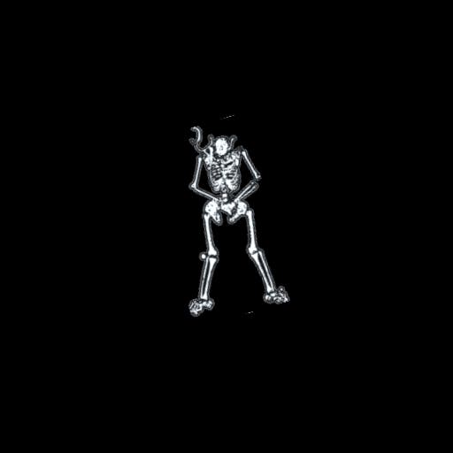 skeleton remains