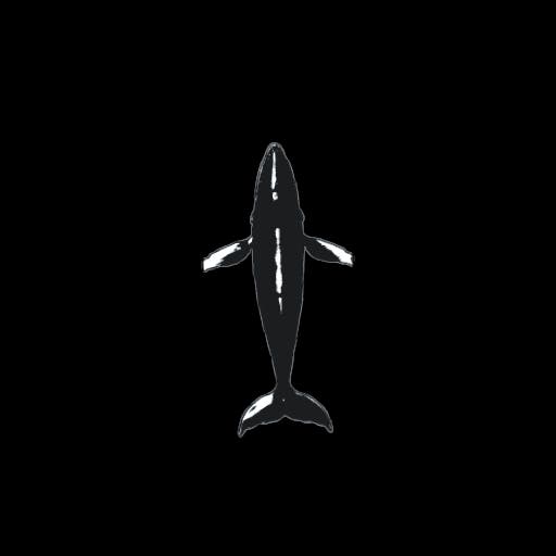 whale