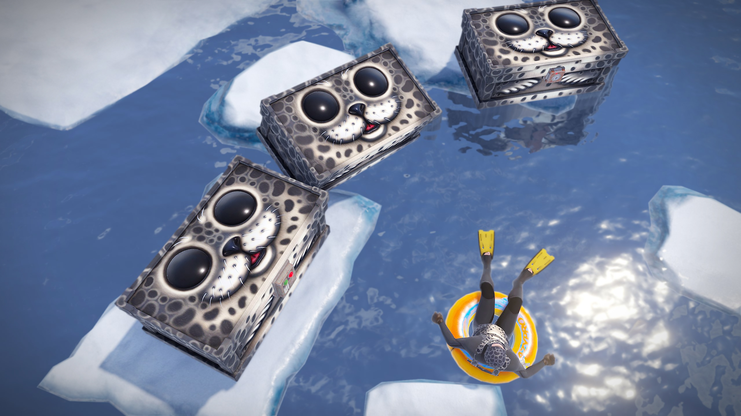 Harbor Seal Large Box thumbnail 5