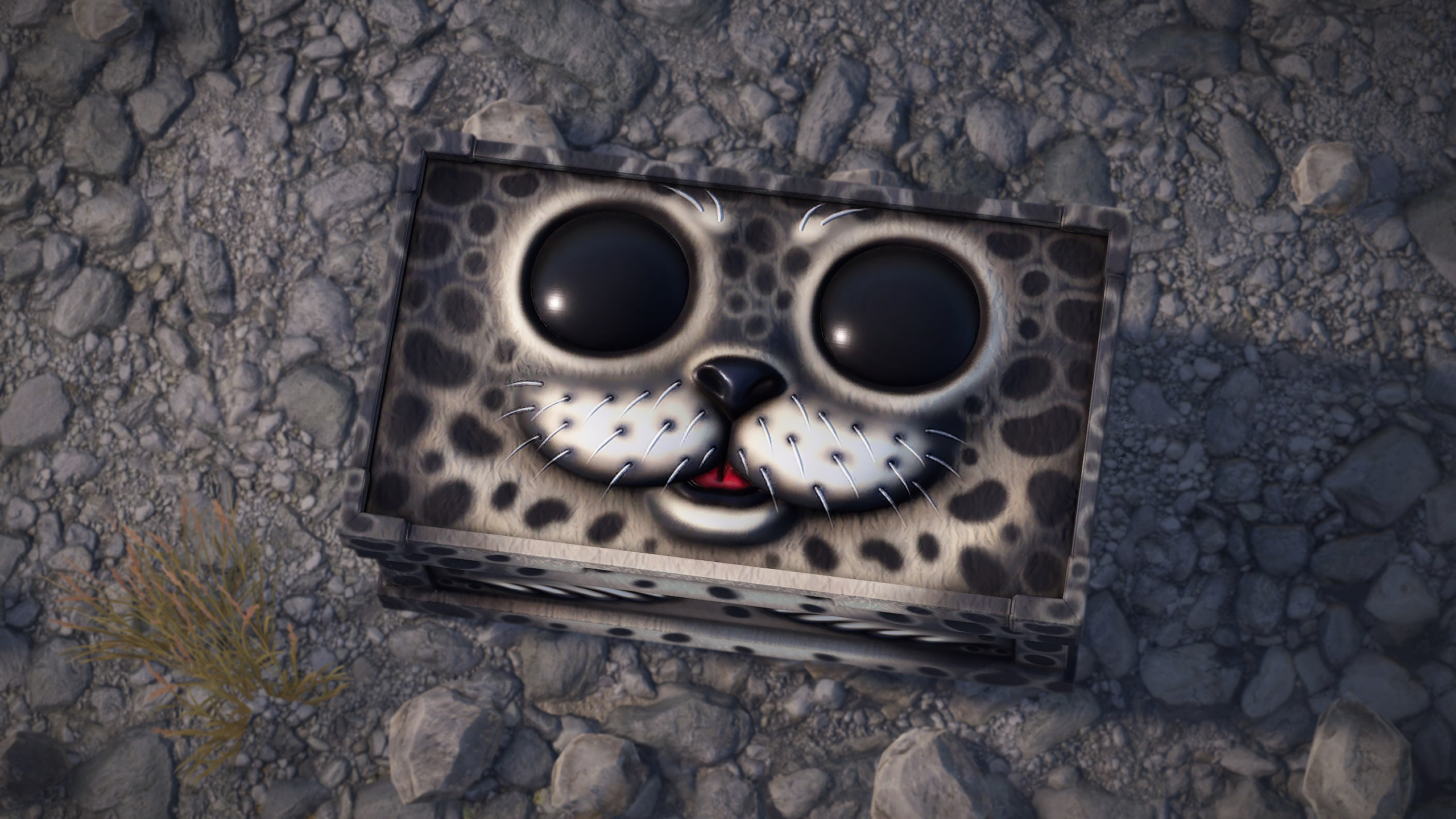 Harbor Seal Large Box thumbnail 10