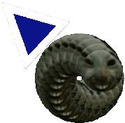 xddSnakeV2