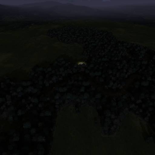 Ghost forest