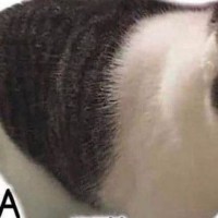 Ламповые мемы