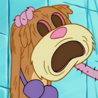 bob sponja