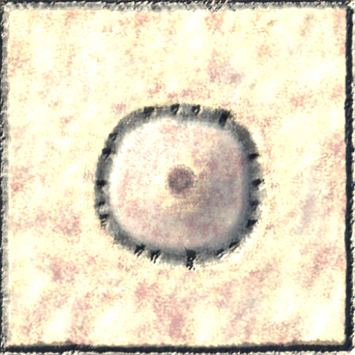 Map - The Crater