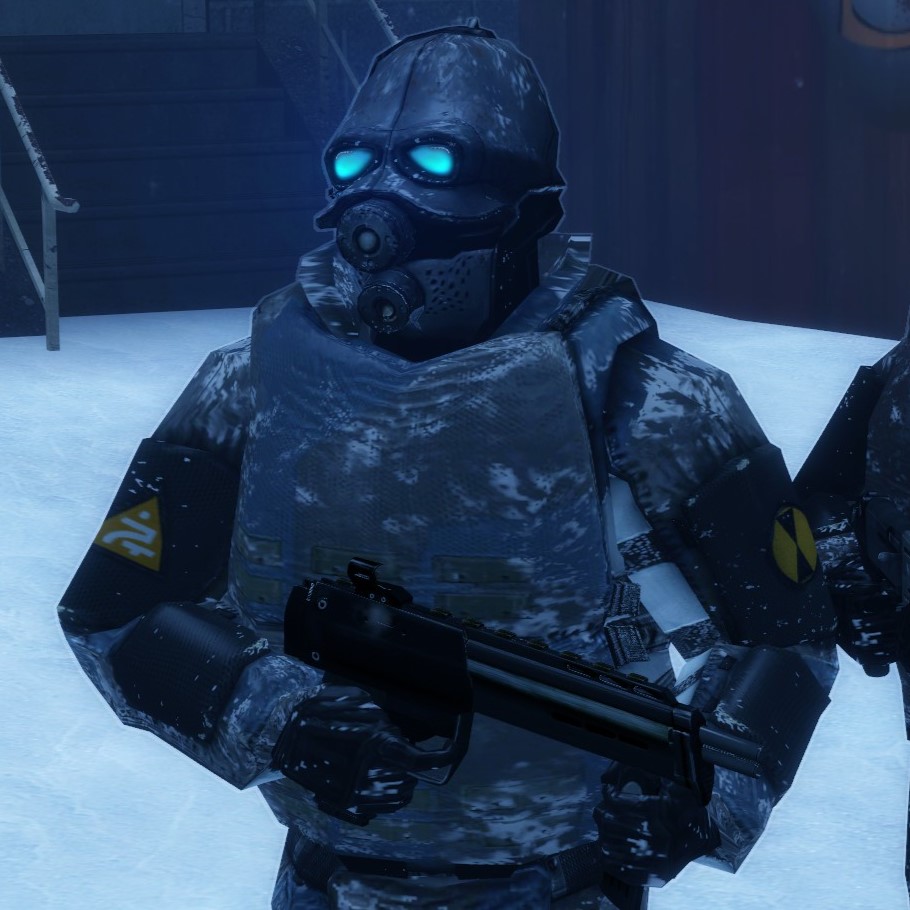 Snowy Combine Soldiers [ASSET]