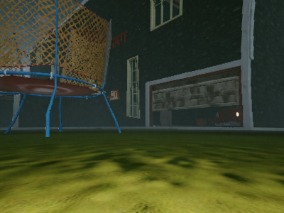 the weird house