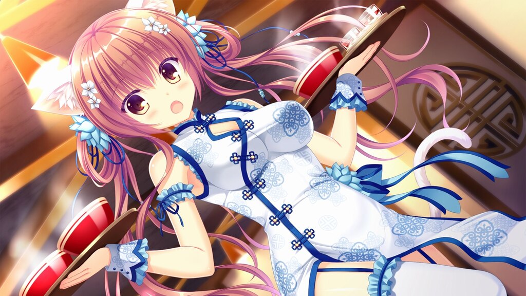 Steam Community :: NEKO-NIN exHeart