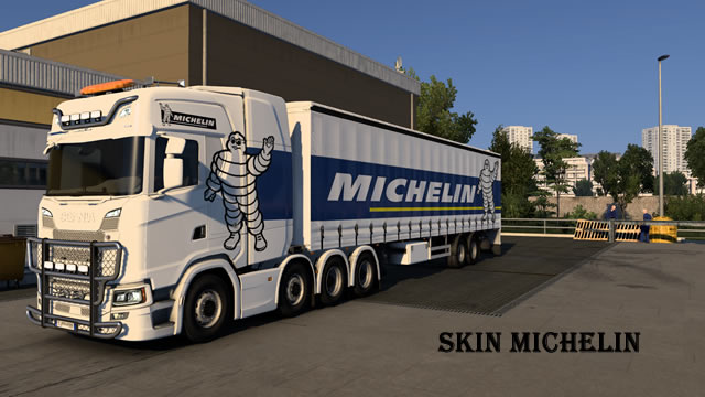 Skin Michelin