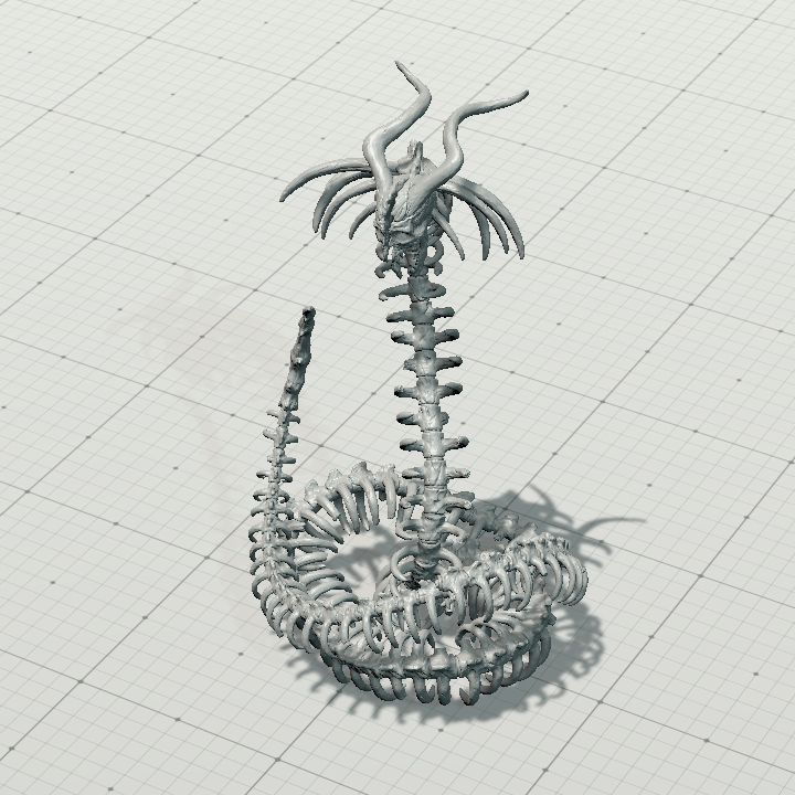 Naga,Bone