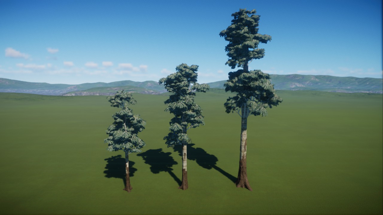 Mountain Ash (Eucalyptus regnans) Set.