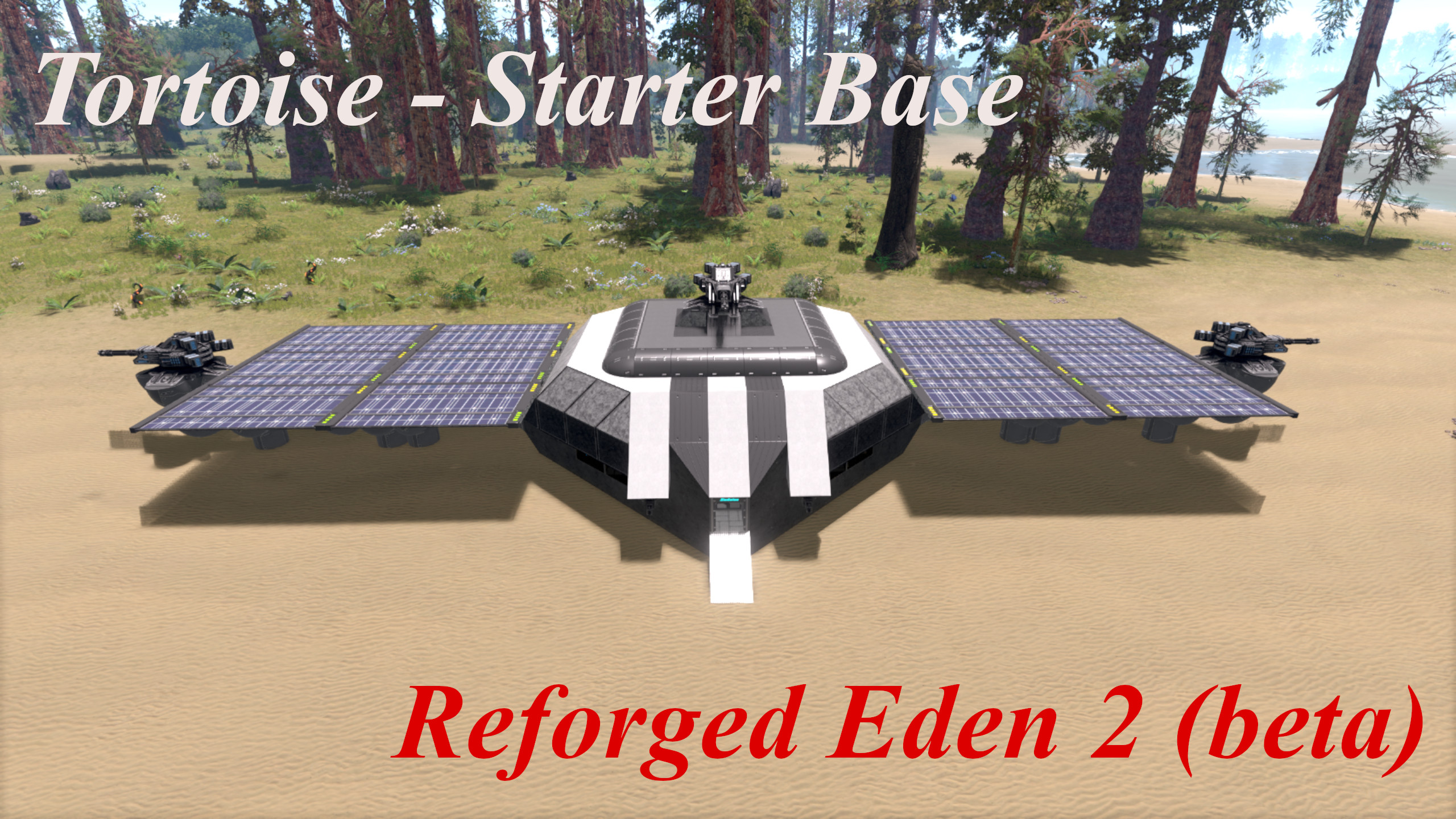 Tortoise - Starter Base