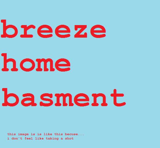 breeze home basment