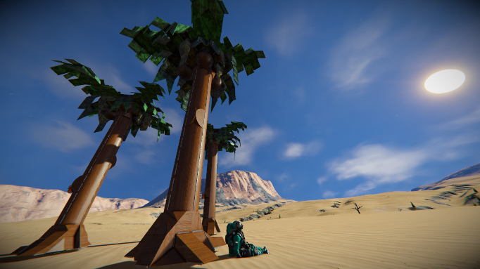 Palm Tree