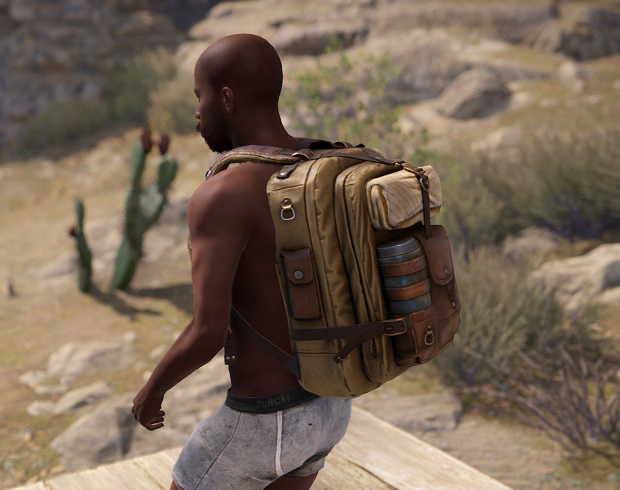 Desert Nomad Backpack