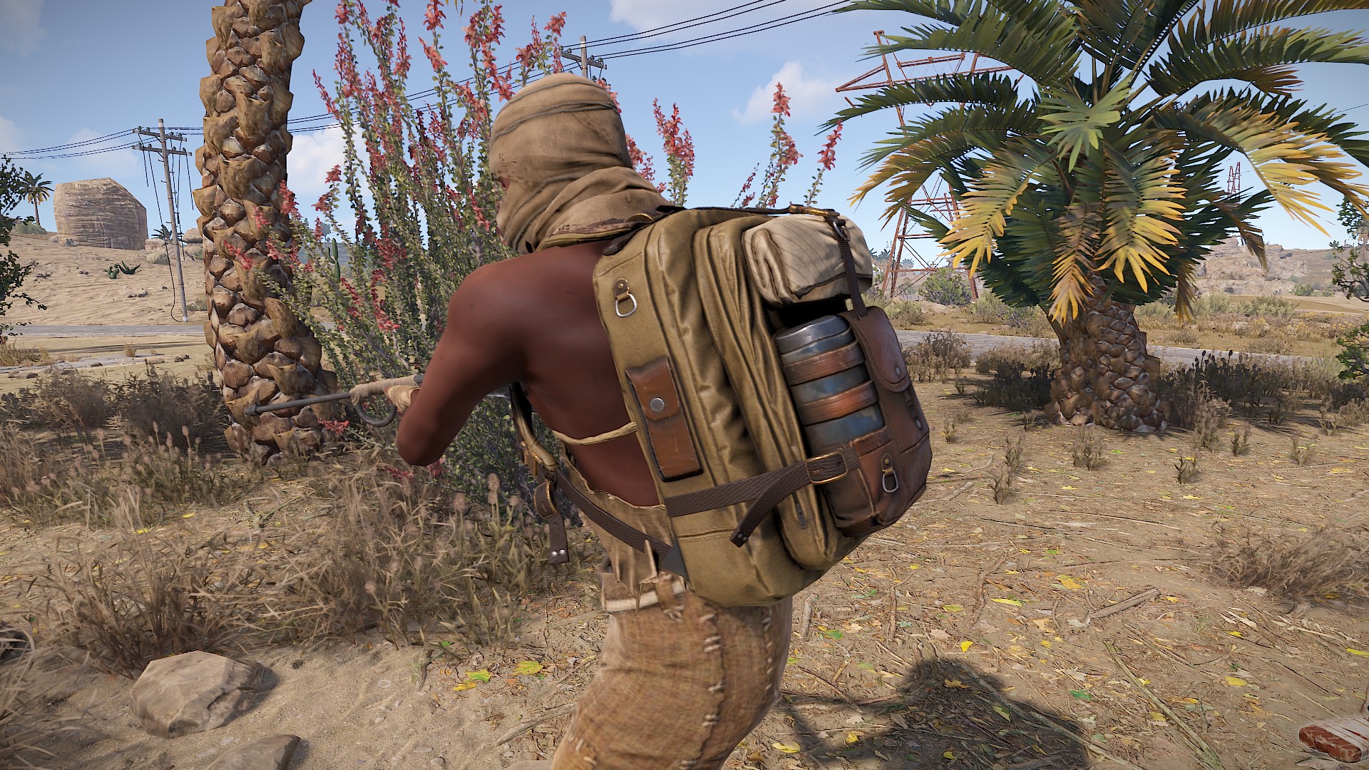 Desert Nomad Backpack