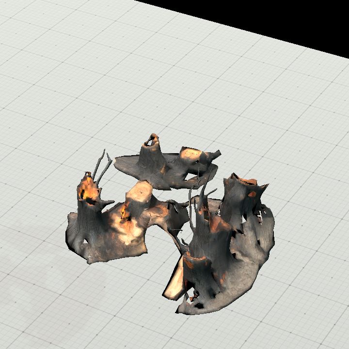 burnt tree 2