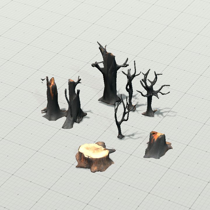burnt tree 6