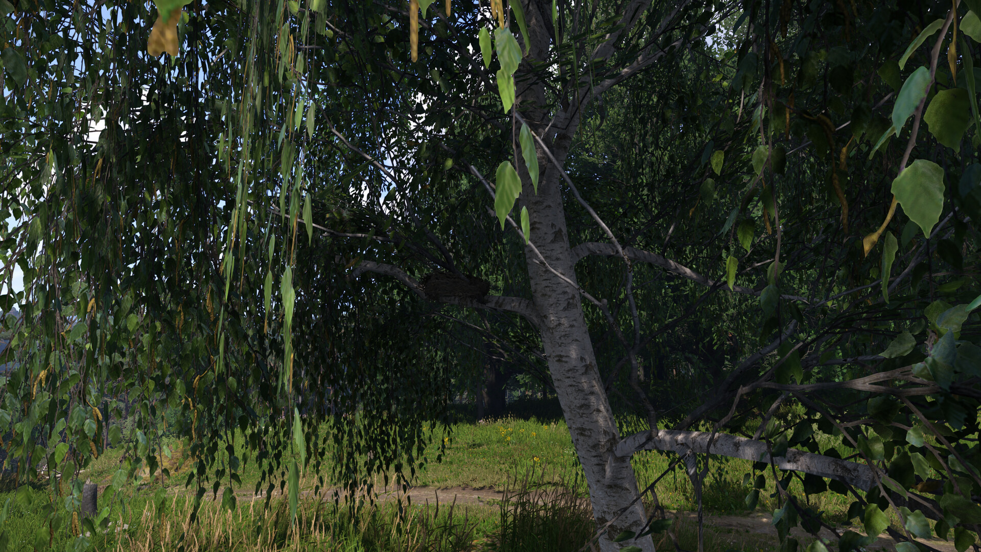 Shooting Down Nests Gives More XP