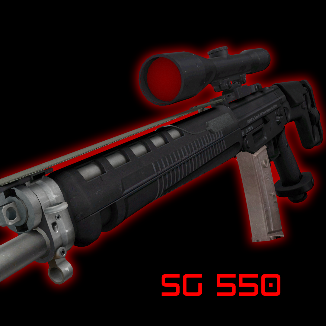 SIG SG550
