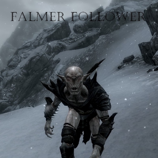 Falmer Follower