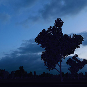 Skybox: The Blue Hour