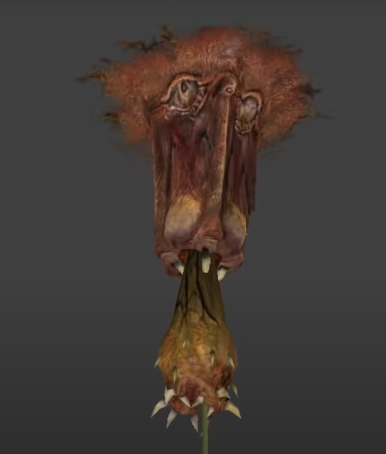 HLA Barnacle Animations