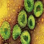 MERS-CoV (2012-nCoV)