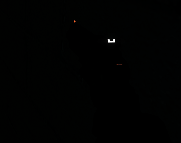 357. Magnum Alternative Sights *GLOW VERSION*